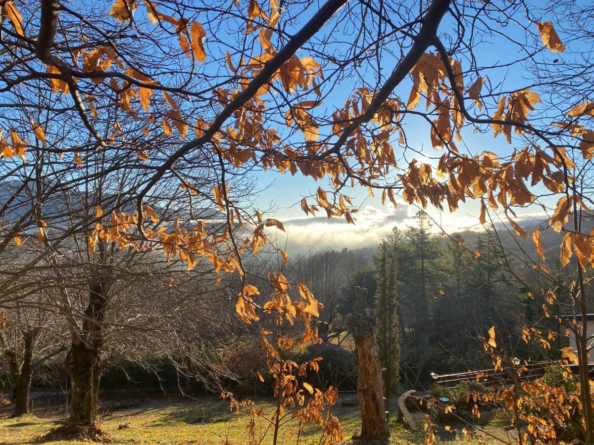 La Colombaia Amiata Bed & Breakfast Arcidosso Dış mekan fotoğraf