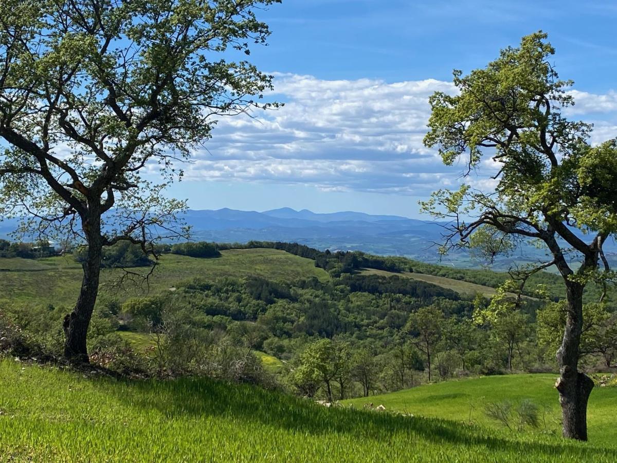 La Colombaia Amiata Bed & Breakfast Arcidosso Dış mekan fotoğraf